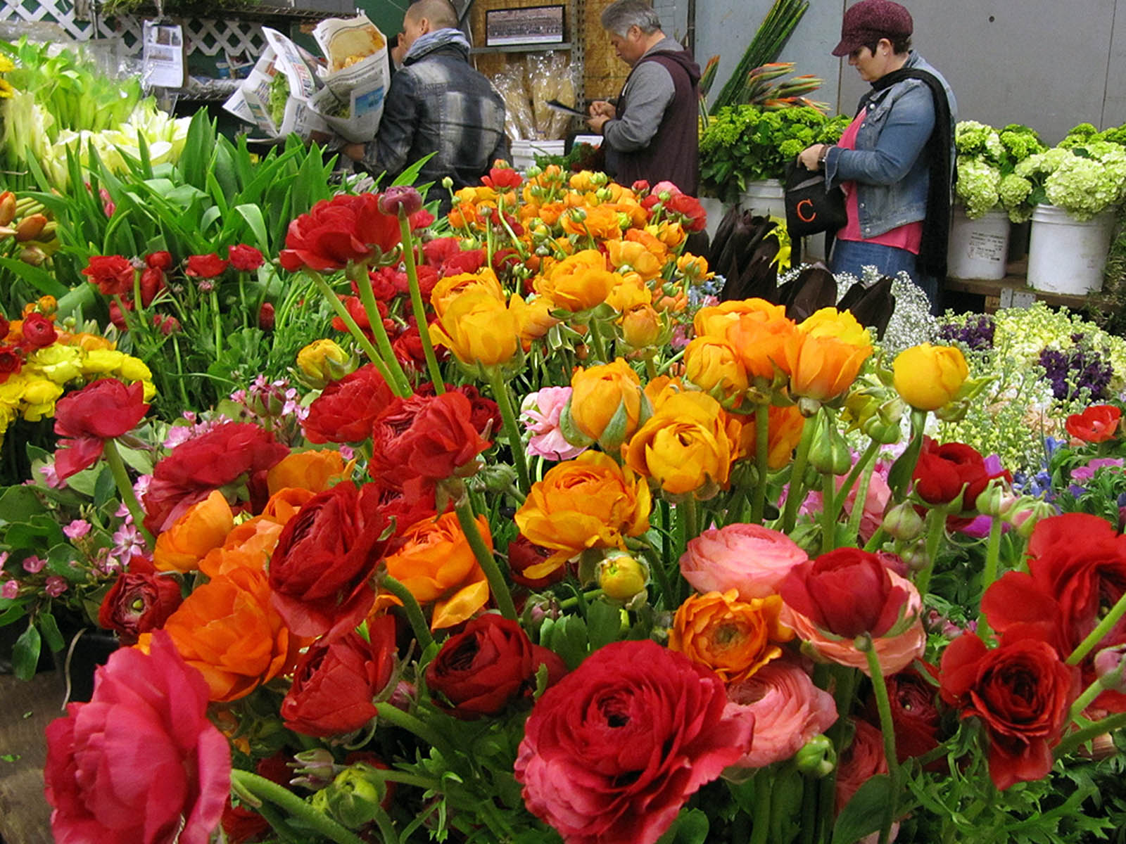 The Evolution of the San Francisco Flower Market